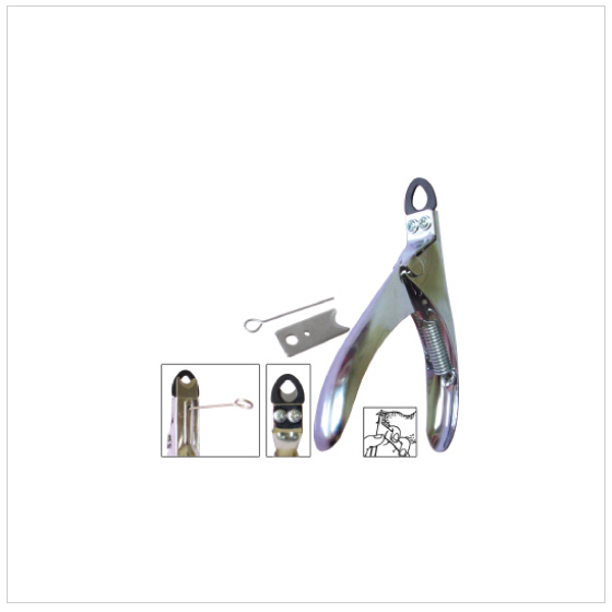 nail-scissor-521304